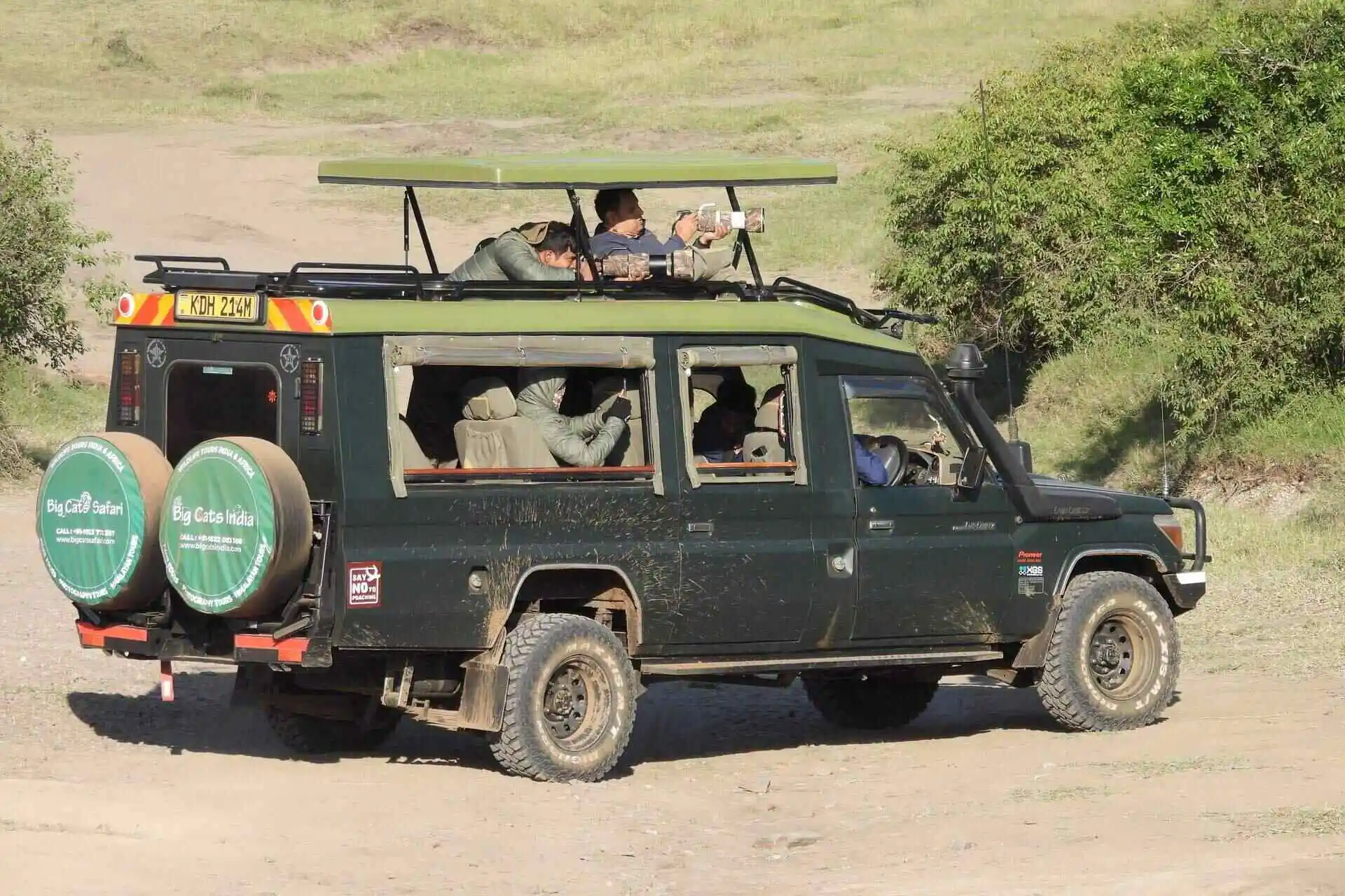 Big Cats Safari Pop up roof land cruiser