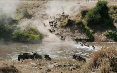 Best Months to Spot the Great Migration in Masai Mara