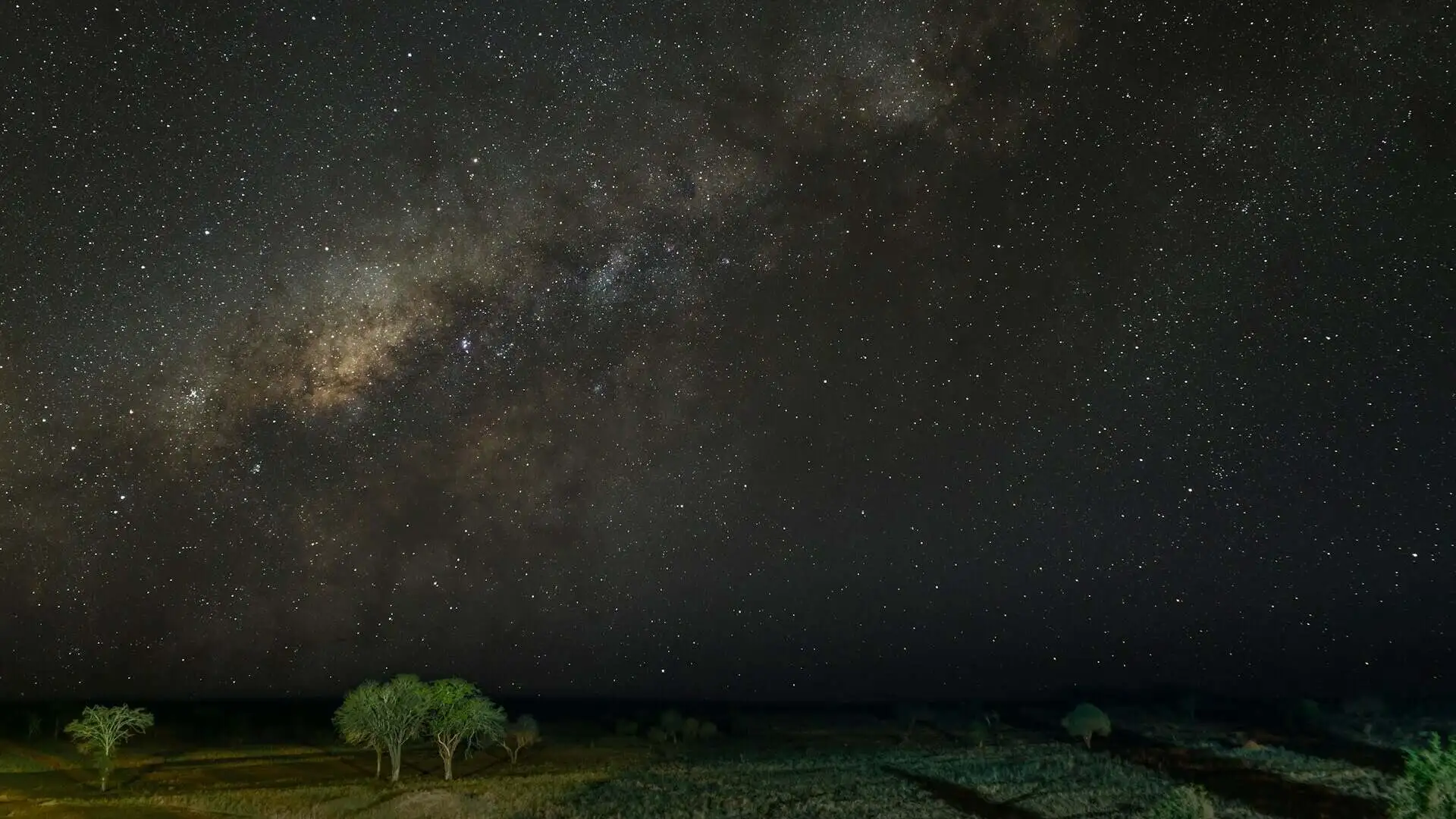 night-safari-drive-masai-mara night-safari-drive-masai-mara