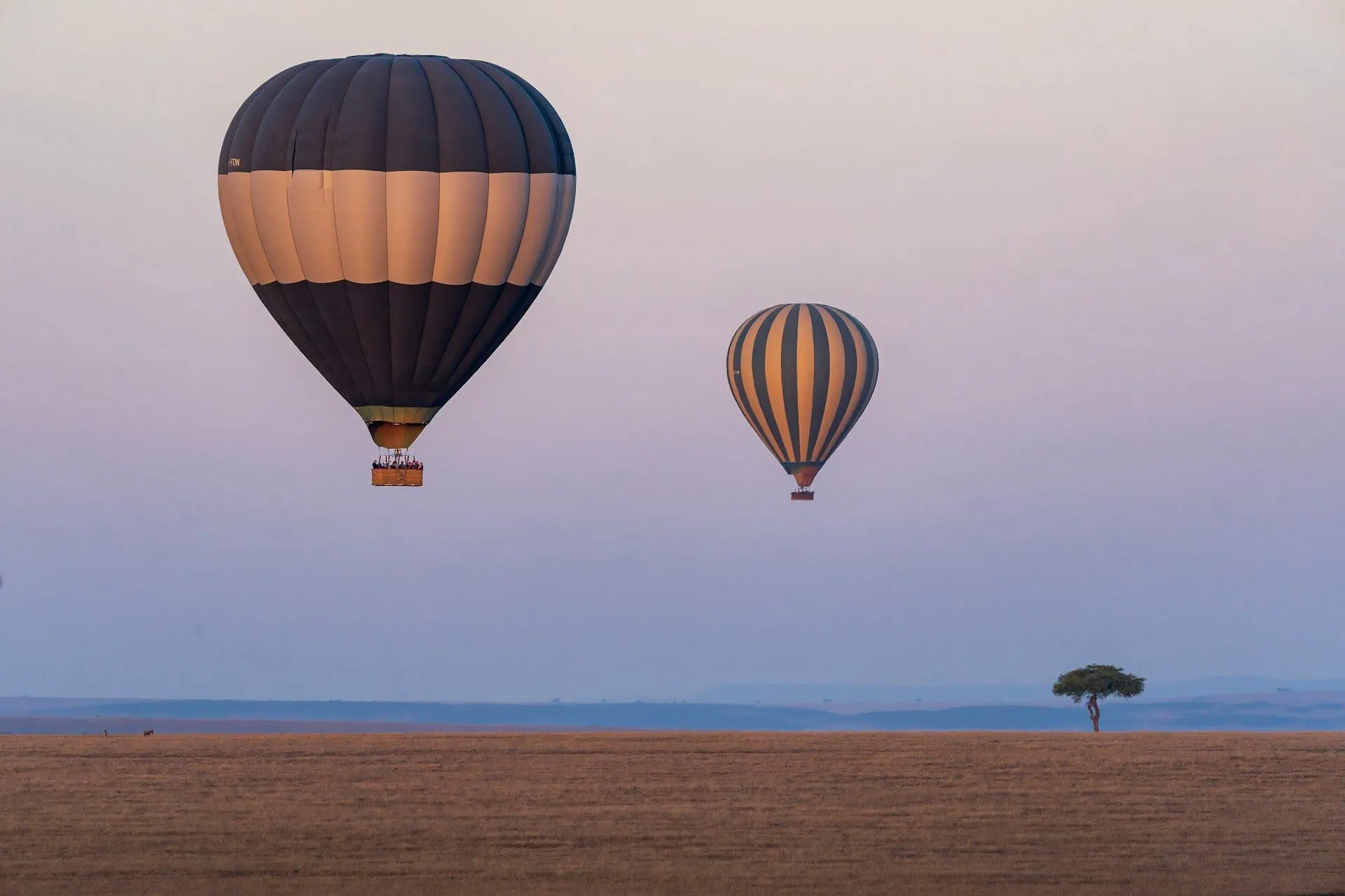hot-air-ballon-safari-masaimara hot-air-ballon-safari-masaimara